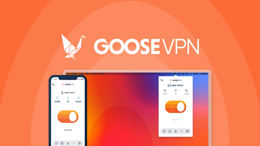 Goose Vpn User-Friendly Vpn for Anonymous Browsing Lifetime Deal Review